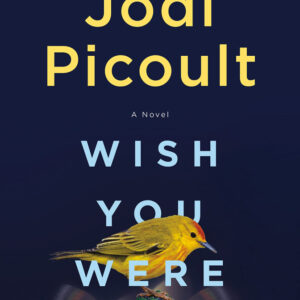 کتاب کاش اینجا بودی